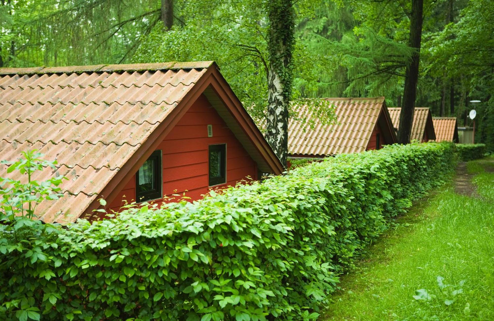 Waldidylle - Bungalows An Der Talsperre Kriebstein Exterior foto