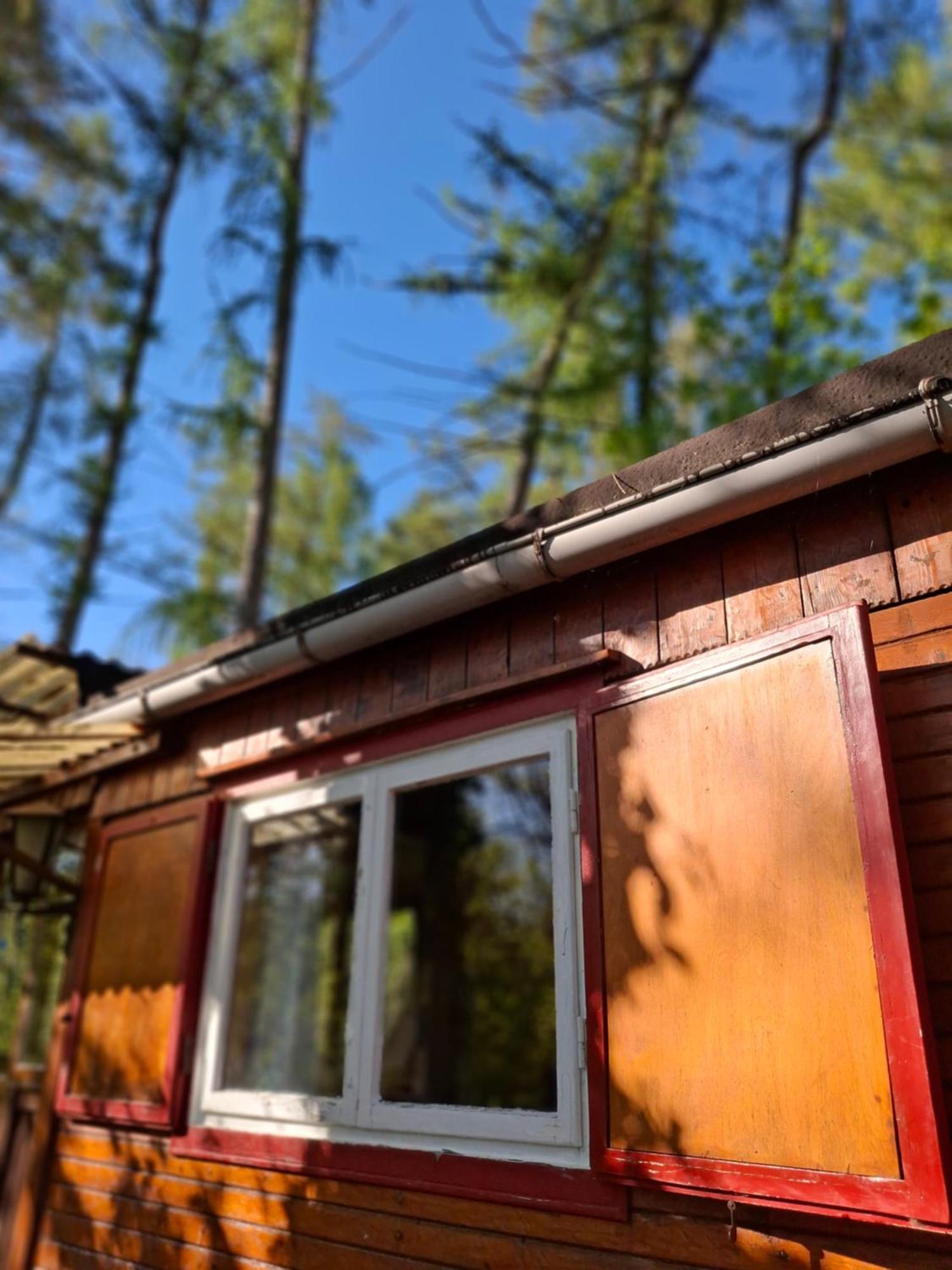 Waldidylle - Bungalows An Der Talsperre Kriebstein Exterior foto
